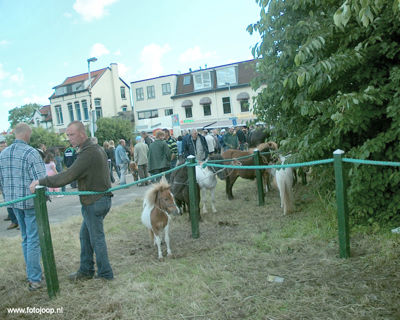 Foto 11 uit Paardenmarkt new07