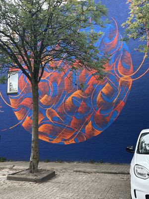 Foto 32 uit All Caps Muurschilderingen Beverwaard 2026