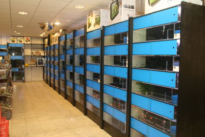 Foto 41 uit Dieren Zaak Catdox