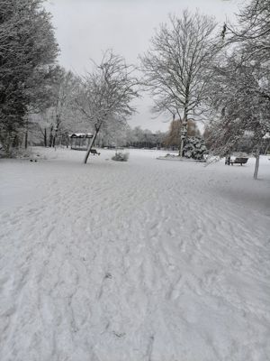 Foto 24 uit X- Sneeuw in de Beverwaard 2026