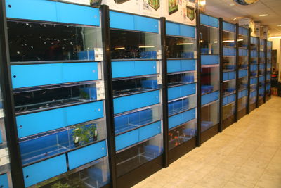 Foto 36 uit Dieren Zaak Catdox