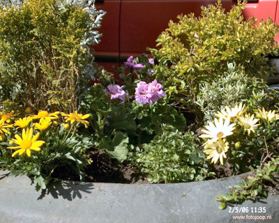 Foto 56 uit opzoomeren 2006 bw