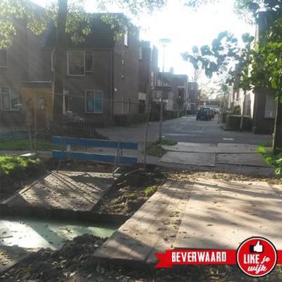 Foto 299 uit LIKEJEWIJK FOTO'S