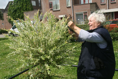 Foto 347 uit TropischeTuin 2017