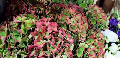 Foto 4 uit 1Jaar Bloemenzaak