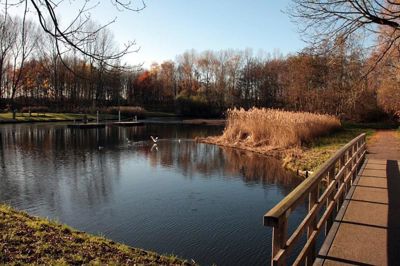 Foto 9 uit Herfst In Beverwaard