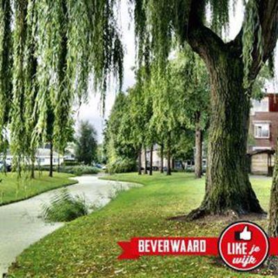 Foto 70 uit LIKEJEWIJK FOTO'S