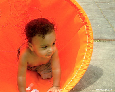 Foto 155 uit schoonmaakactie new