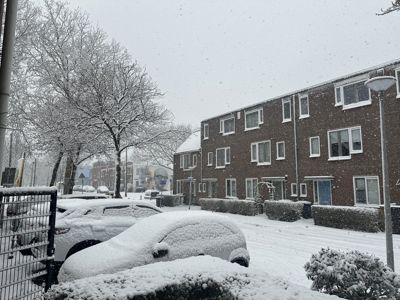 Foto 8 uit X- Sneeuw in de Beverwaard 2026