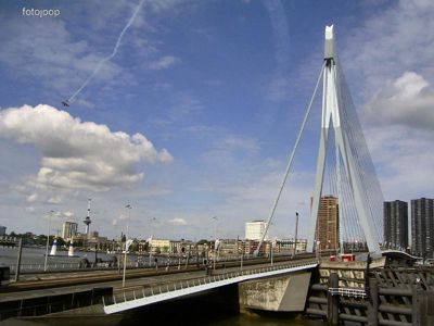 Foto 95 uit red bull air race r.dam