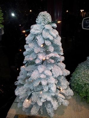 Foto 334 uit NeelyshaBloemen