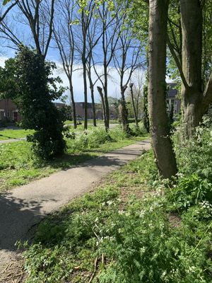 Foto 90 uit Rondje Beverwaard 2026