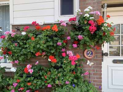 Foto 316 uit Rondje Beverwaard 2026