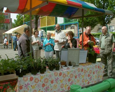 Foto 40 uit opzoomeren 29_5_8