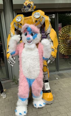 Foto 43 uit Zomer Braderie6-8