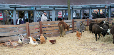 Foto 2 uit Sinterklaas 2009B.W