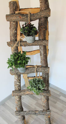 Foto 27 uit San4You Heropening