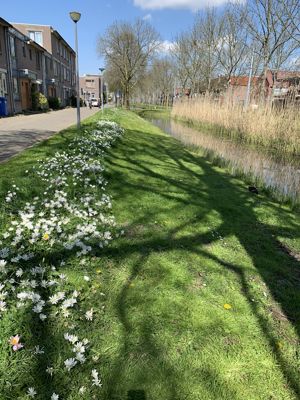 Foto 222 uit StratenBEVERWAARD