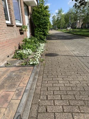 Foto 264 uit StratenBEVERWAARD