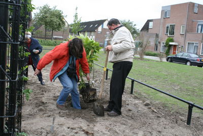 Foto 37 uit Tropische Buurttuin