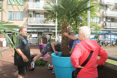 Foto 75 uit HippePlantenBakken