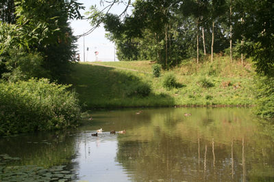 Foto 458 uit StratenBEVERWAARD