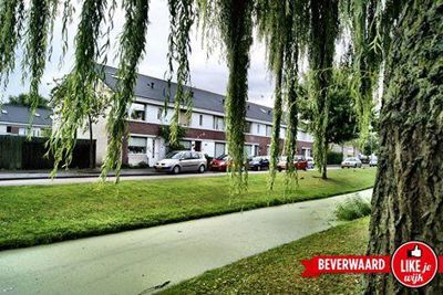 Foto 195 uit LIKEJEWIJK FOTO'S_2