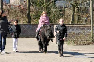 Foto 24 uit VoorjaarsMarkt19_3