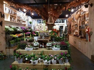 Foto 11 uit De Bloemenboetiek