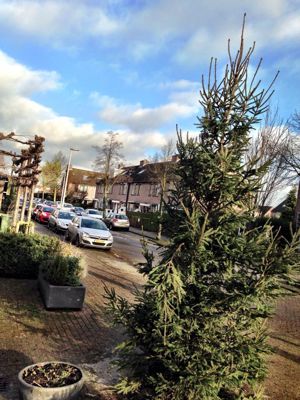 Foto 2 uit KERST BEVERWAARD