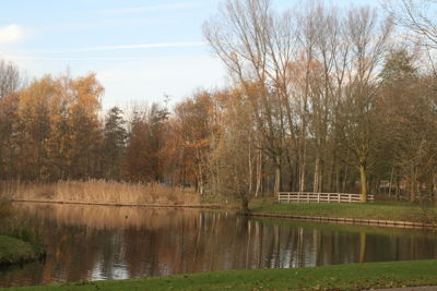 Foto 139 uit Herfst In Beverwaard