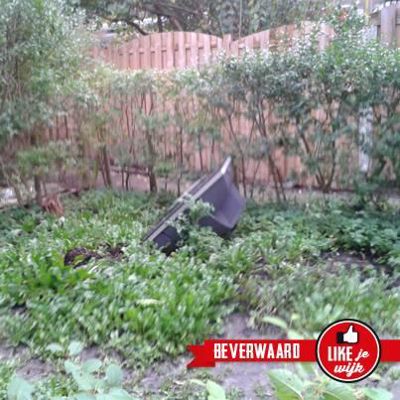 Foto 639 uit LIKEJEWIJK FOTO'S_2