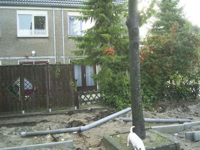 Foto 19 uit tuin uit breiding