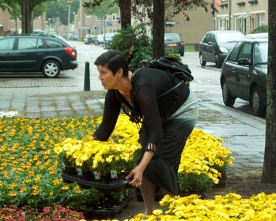 Foto 27 uit opzoomeren 29_5_8