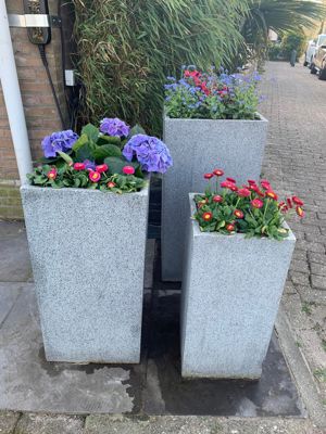 Foto 204 uit Rondje Beverwaard 2026