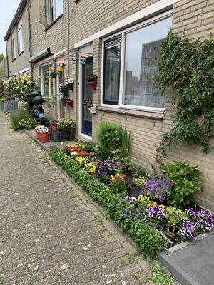 Foto 41 uit Rondje Beverwaard 2026