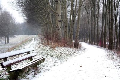 Foto 103 uit WinterIn Beverwaard