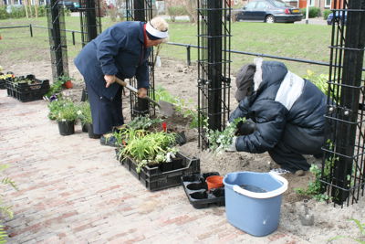 Foto 7 uit Tropische Buurttuin