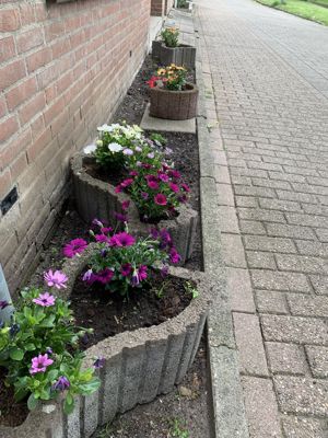 Foto 38 uit Rondje Beverwaard 2026