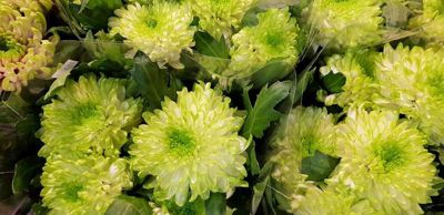 Foto 7 uit 1Jaar Bloemenzaak