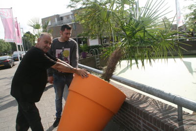 Foto 12 uit Grote-Bloem-Potten