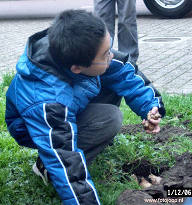 Foto 104 uit bloembollen planten