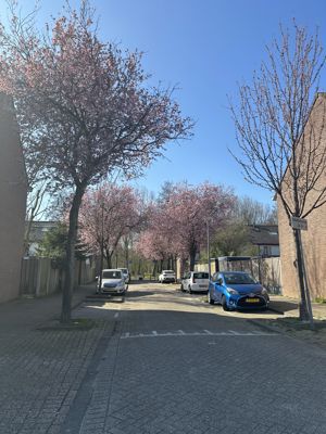 Foto 173 uit Rondje Beverwaard 2026