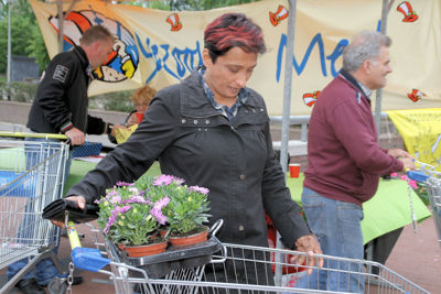 Foto 103 uit OpzoomerenPlantjes