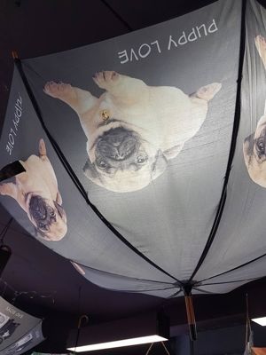 Foto 65 uit NeelyshaBloemen