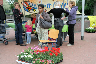 Foto 93 uit OpzoomerenPlantjes