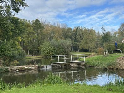 Foto 59 uit X-Herfst Verschillende jaren  2026