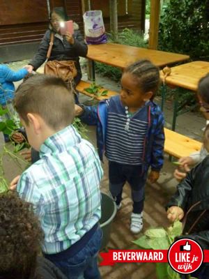 Foto 285 uit LIKEJEWIJK FOTO'S_3