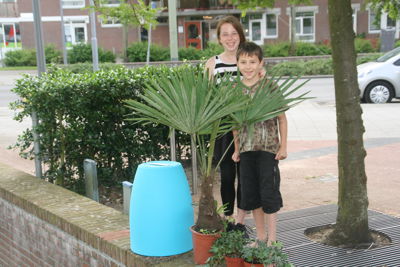 Foto 52 uit HippePlantenBakken