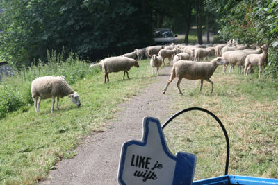 Foto 9 uit OpFotoinBeverwaard